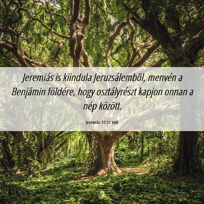 Picture 06 - Jeremiás 37:12 KAR - Jeremiás is kiindula Jeruzsálembõl, menvén a - Bible Verse Picture