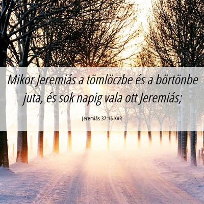 Picture 06 - Jeremiás 37:16 KAR - Mikor Jeremiás a tömlöczbe és a börtönbe - Bible Verse Picture