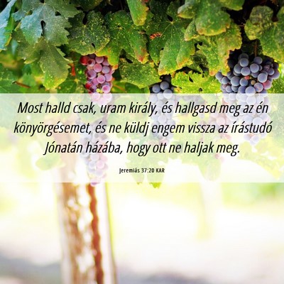 Picture 06 - Jeremiás 37:20 KAR - Most halld csak, uram király, és hallgasd meg - Bible Verse Picture