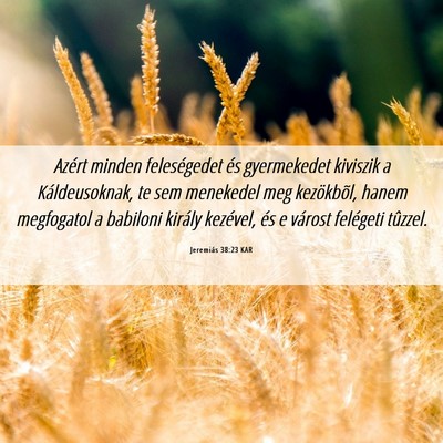 Picture 06 - Jeremiás 38:23 KAR - Azért minden feleségedet és gyermekedet - Bible Verse Picture