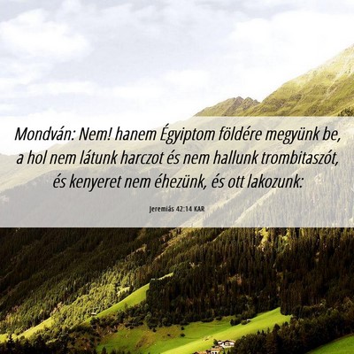 Picture 06 - Jeremiás 42:14 KAR - Mondván: Nem! hanem Égyiptom földére megyünk - Bible Verse Picture