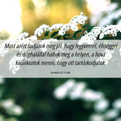 Picture 06 - Jeremiás 42:22 KAR - Most azért tudjátok meg jól, hogy fegyverrel, - Bible Verse Picture