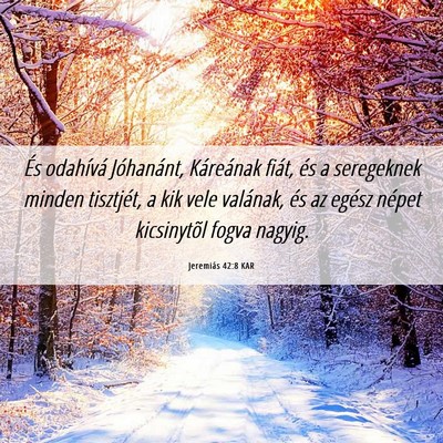 Picture 06 - Jeremiás 42:8 KAR - És odahívá Jóhanánt, Káreának fiát, és a - Bible Verse Picture
