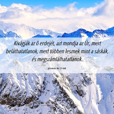 Picture 06 - Jeremiás 46:23 KAR - Kivágják az õ erdejét, azt mondja az Úr, - Bible Verse Picture