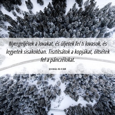 Picture 06 - Jeremiás 46:4 KAR - Nyergeljétek a lovakat, és üljetek fel ti - Bible Verse Picture