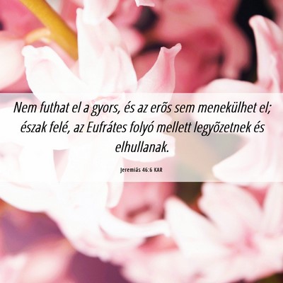 Picture 06 - Jeremiás 46:6 KAR - Nem futhat el a gyors, és az erõs sem - Bible Verse Picture
