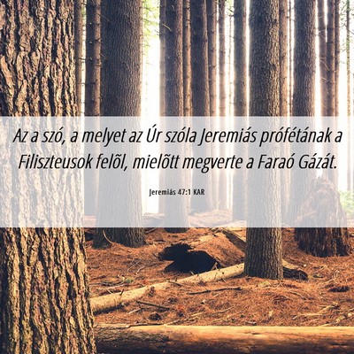 Picture 06 - Jeremiás 47:1 KAR - Az a szó, a melyet az Úr szóla Jeremiás - Bible Verse Picture