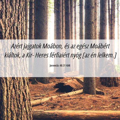 Picture 06 - Jeremiás 48:31 KAR - Azért jajgatok Moábon, és az egész Moábért - Bible Verse Picture