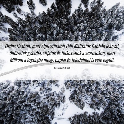 Picture 06 - Jeremiás 49:3 KAR - Ordíts Hesbon, mert elpusztíttatott Hái! - Bible Verse Picture