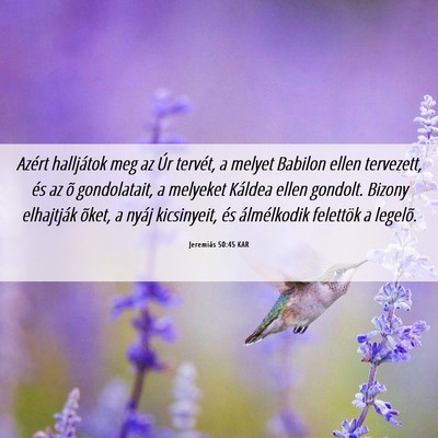 Picture 06 - Jeremiás 50:45 KAR - Azért halljátok meg az Úr tervét, a melyet - Bible Verse Picture