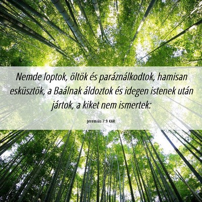 Picture 06 - Jeremiás 7:9 KAR - Nemde loptok, öltök és paráználkodtok, - Bible Verse Picture