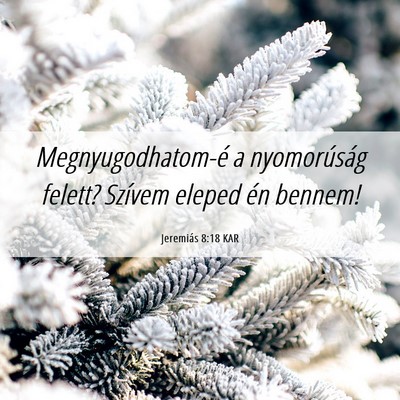 Picture 06 - Jeremiás 8:18 KAR - Megnyugodhatom-é a nyomorúság felett? Szívem - Bible Verse Picture