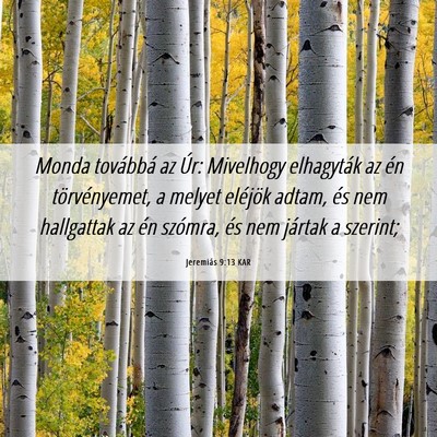 Picture 06 - Jeremiás 9:13 KAR - Monda továbbá az Úr: Mivelhogy elhagyták az - Bible Verse Picture