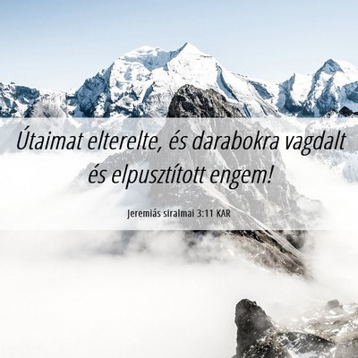 Picture 06 - Jeremiás siralmai 3:11 KAR - Útaimat elterelte, és darabokra vagdalt és - Bible Verse Picture