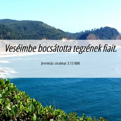 Picture 06 - Jeremiás siralmai 3:13 KAR - Veséimbe bocsátotta tegzének - Bible Verse Picture