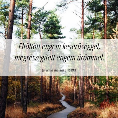 Picture 06 - Jeremiás siralmai 3:15 KAR - Eltöltött engem keserûséggel, - Bible Verse Picture