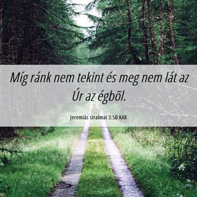 Picture 06 - Jeremiás siralmai 3:50 KAR - Míg ránk nem tekint és meg nem lát az Úr az - Bible Verse Picture