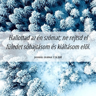 Picture 06 - Jeremiás siralmai 3:56 KAR - Hallottad az én szómat; ne rejtsd el füledet - Bible Verse Picture