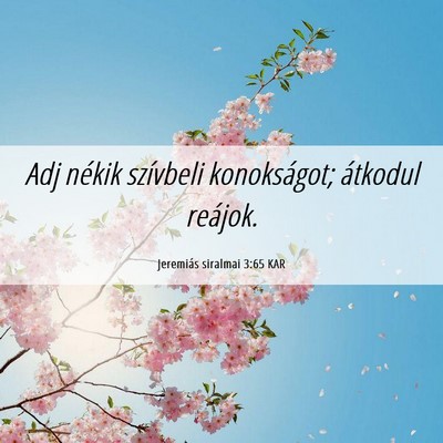 Picture 06 - Jeremiás siralmai 3:65 KAR - Adj nékik szívbeli konokságot; átkodul - Bible Verse Picture