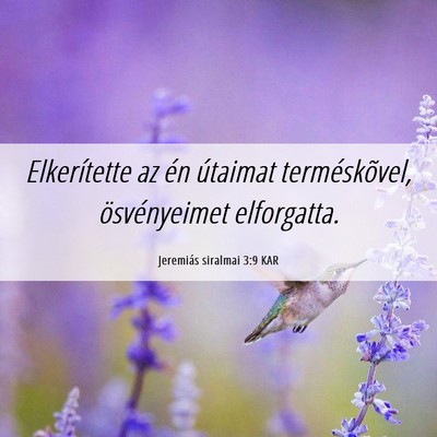 Picture 06 - Jeremiás siralmai 3:9 KAR - Elkerítette az én útaimat terméskõvel, - Bible Verse Picture