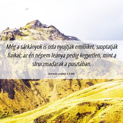 Picture 06 - Jeremiás siralmai 4:3 KAR - Még a sárkányok is oda nyujtják emlõiket, - Bible Verse Picture