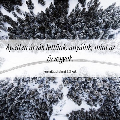 Picture 06 - Jeremiás siralmai 5:3 KAR - Apátlan árvák lettünk; anyáink, mint az - Bible Verse Picture