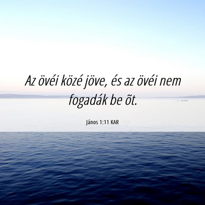Picture 06 - János 1:11 KAR - Az övéi közé jöve, és az övéi nem - Bible Verse Picture