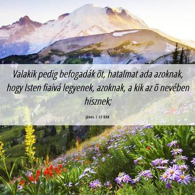 Picture 06 - János 1:12 KAR - Valakik pedig befogadák õt, hatalmat ada - Bible Verse Picture