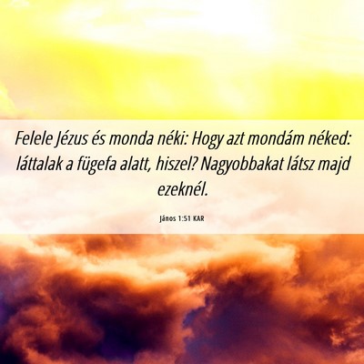 Picture 06 - János 1:51 KAR - Felele Jézus és monda néki: Hogy azt mondám - Bible Verse Picture