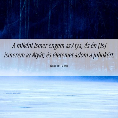 Picture 06 - János 10:15 KAR - A miként ismer engem az Atya, és én [is] - Bible Verse Picture
