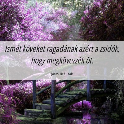 Picture 06 - János 10:31 KAR - Ismét köveket ragadának azért a zsidók, hogy - Bible Verse Picture