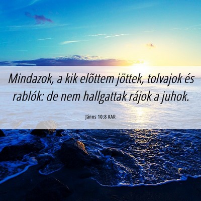 Picture 06 - János 10:8 KAR - Mindazok, a kik elõttem jöttek, tolvajok és - Bible Verse Picture
