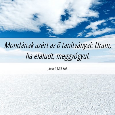 Picture 06 - János 11:12 KAR - Mondának azért az õ tanítványai: Uram, ha - Bible Verse Picture