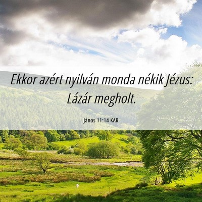 Picture 06 - János 11:14 KAR - Ekkor azért nyilván monda nékik Jézus: - Bible Verse Picture
