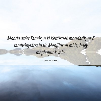 Picture 06 - János 11:16 KAR - Monda azért Tamás, a ki Kettõsnek mondatik, az - Bible Verse Picture