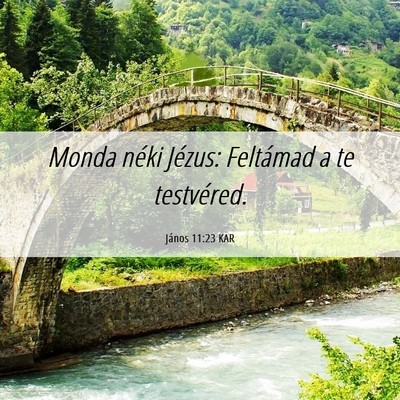 Picture 06 - János 11:23 KAR - Monda néki Jézus: Feltámad a te - Bible Verse Picture