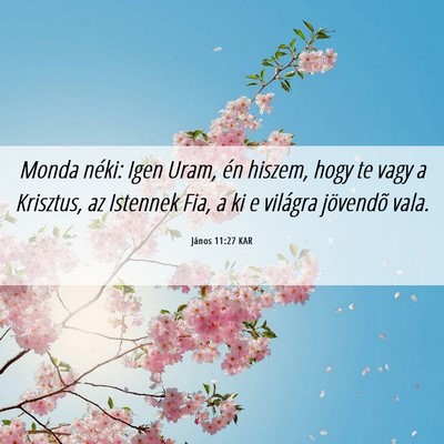 Picture 06 - János 11:27 KAR - Monda néki: Igen Uram, én hiszem, hogy te vagy - Bible Verse Picture