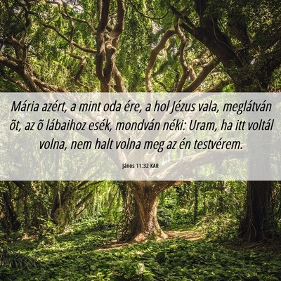 Picture 06 - János 11:32 KAR - Mária azért, a mint oda ére, a hol Jézus - Bible Verse Picture