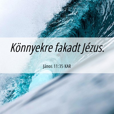 Picture 06 - János 11:35 KAR - Könnyekre fakadt - Bible Verse Picture