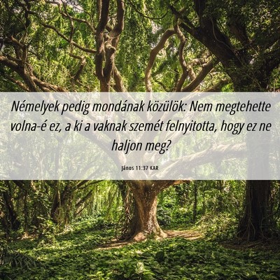 Picture 06 - János 11:37 KAR - Némelyek pedig mondának közülök: Nem - Bible Verse Picture