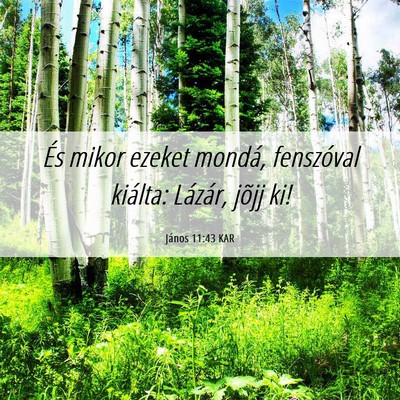 Picture 06 - János 11:43 KAR - És mikor ezeket mondá, fenszóval kiálta: - Bible Verse Picture