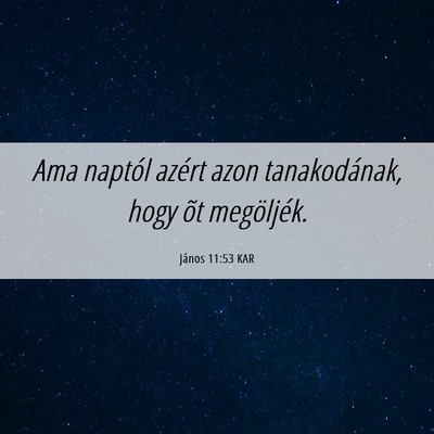 Picture 06 - János 11:53 KAR - Ama naptól azért azon tanakodának, hogy õt - Bible Verse Picture