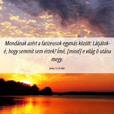 Picture 06 - János 12:19 KAR - Mondának azért a farizeusok egymás között: - Bible Verse Picture