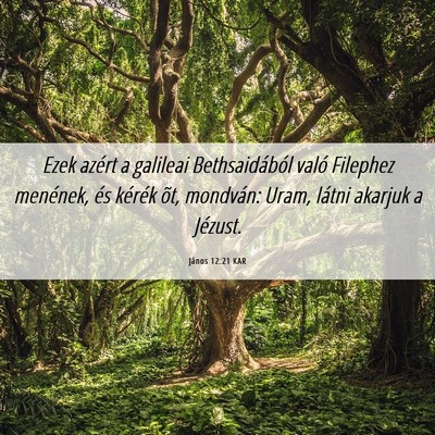Picture 06 - János 12:21 KAR - Ezek azért a galileai Bethsaidából való - Bible Verse Picture