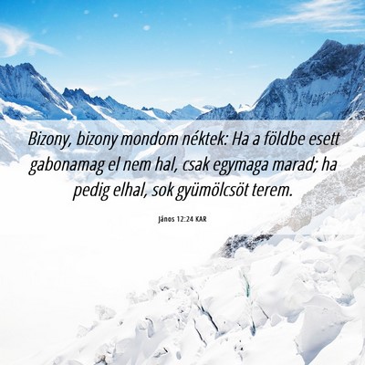 Picture 06 - János 12:24 KAR - Bizony, bizony mondom néktek: Ha a földbe esett - Bible Verse Picture