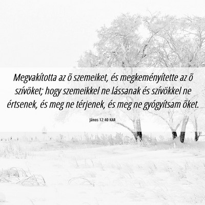 Picture 06 - János 12:40 KAR - Megvakította az õ szemeiket, és - Bible Verse Picture