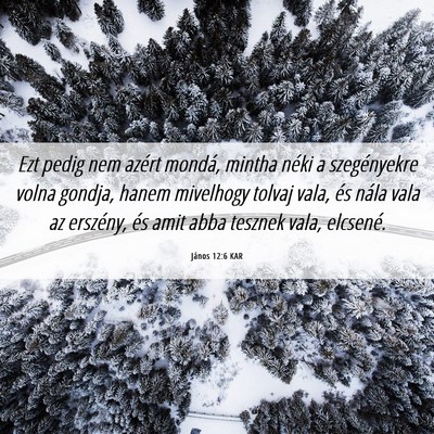 Picture 06 - János 12:6 KAR - Ezt pedig nem azért mondá, mintha néki a - Bible Verse Picture