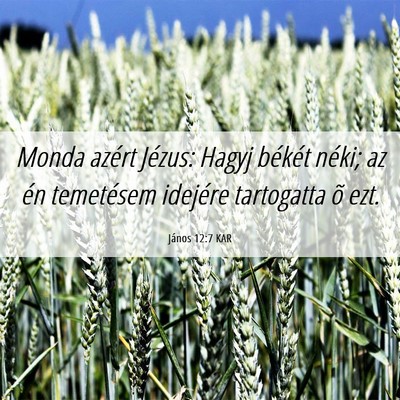 Picture 06 - János 12:7 KAR - Monda azért Jézus: Hagyj békét néki; az én - Bible Verse Picture