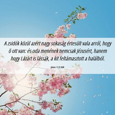 Picture 06 - János 12:9 KAR - A zsidók közül azért nagy sokaság értesült - Bible Verse Picture