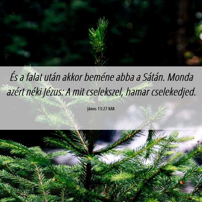 Picture 06 - János 13:27 KAR - És a falat után akkor beméne abba a Sátán. - Bible Verse Picture